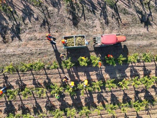 Sam Coturri, photo 2