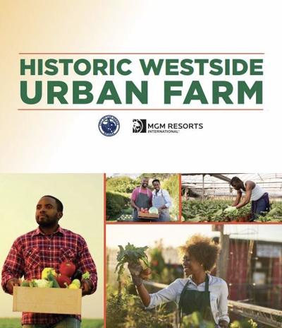 Josh Boydman, photo 2