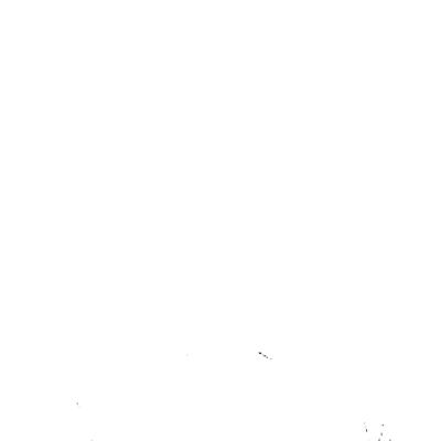 Miguel Testa, photo 2