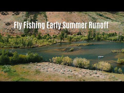 Cody Catherall, photo 2