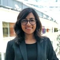 Kanderp Goel, photo 2