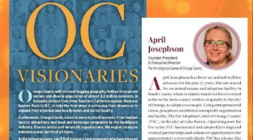 April Orange, photo 1