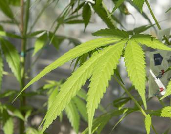 Eric Beaver, photo 2