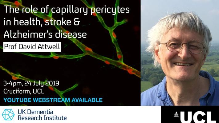 David Attwell, photo 2