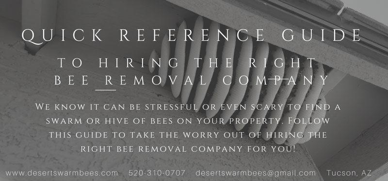 Sivaraman Sundaram, photo 1