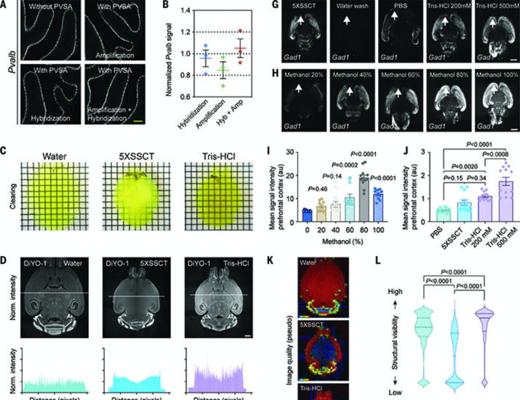 Nathan Moerke, photo 1