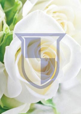 Theodore Charles Kirn Price, photo 2