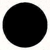 David Mygind, photo 2