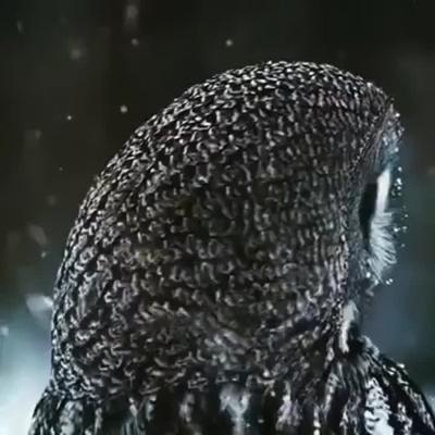 GARY PARKER, photo 1