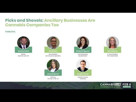 Todd Rosales, photo 2