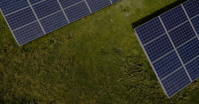 Michael Ganis, photo 1