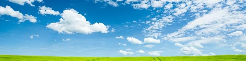 Jasmine Rozinger, photo 1