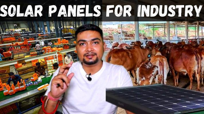 Purushotam Pandey, photo 1