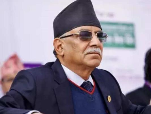 Bidya Panda, photo 2