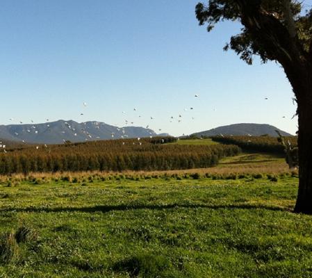 Edoardo Daly, photo 1