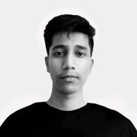 Aditya Raut, photo 1