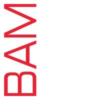 Brenda Manea, photo 2