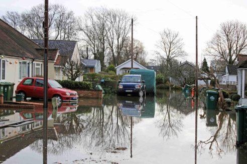 Matthew Lees, photo 2