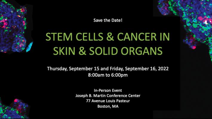 Tobias Schatton, photo 2