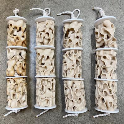 Alex Schofield, photo 2