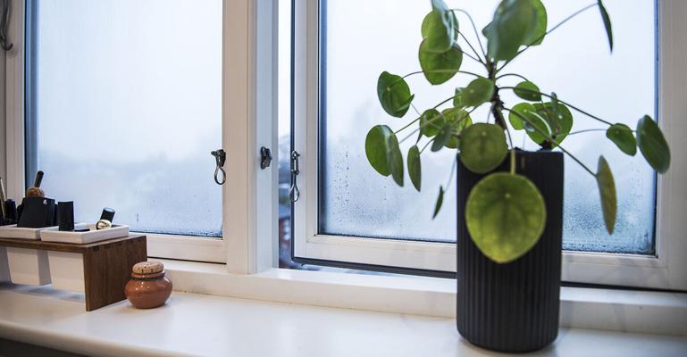 Laura Augustinus, photo 1