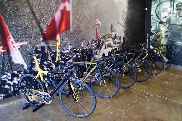 Colin McCaleb, photo 1