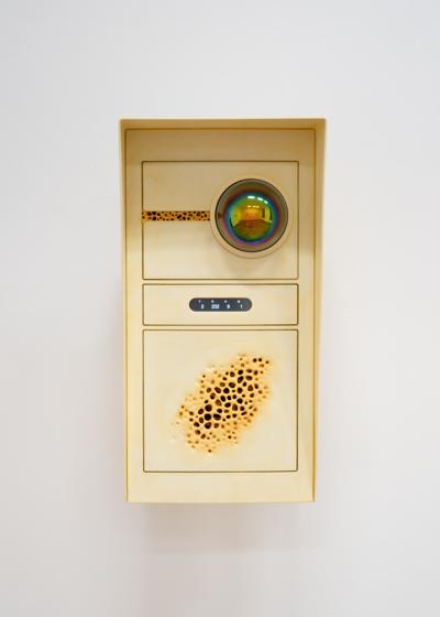 Cooper Fitzpatrick, photo 2