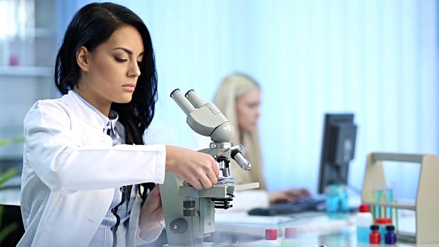 Bruna Cordeiro, photo 1