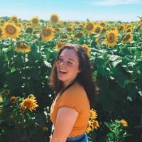 Daniel Wiesenthal, photo 2