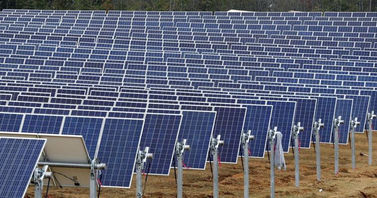 Sanket Kolte, photo 1