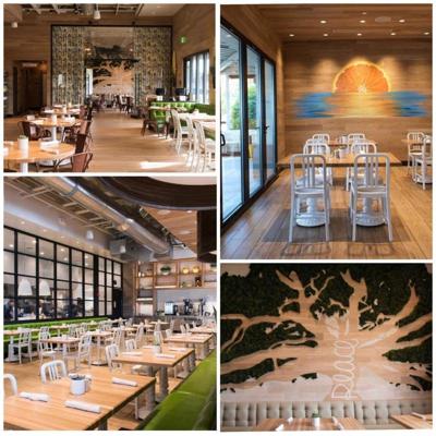 Zachary Hellmann, photo 2