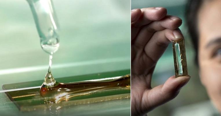 Mya Le Thai, photo 2