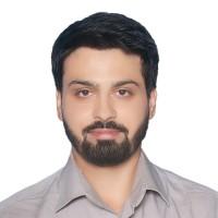 Baqar Rizvi, photo 2