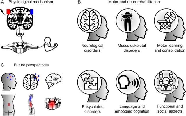 Nathanaël Havez, photo 2