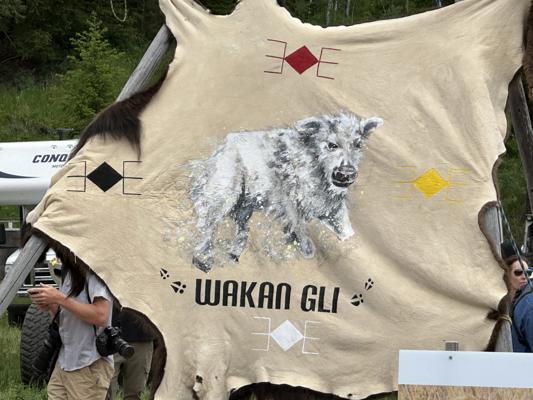 Daryle Gessner, photo 2