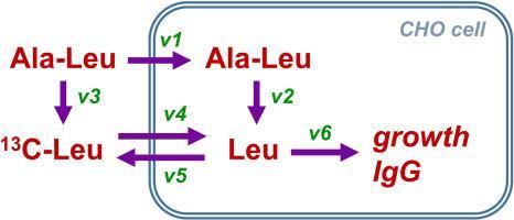 Tyler Fishbone, photo 1