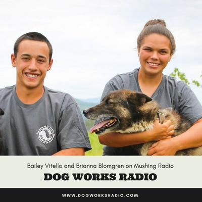 Alex Vitello, photo 2