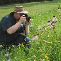 Mark Pingenot, photo 2