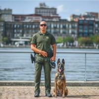 Michael Giaquinto, photo 1