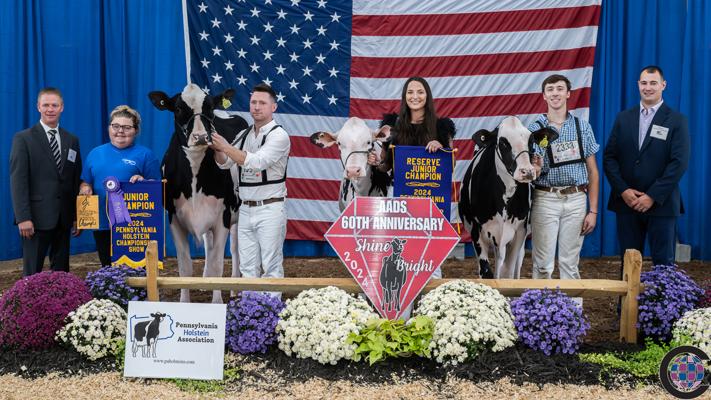 Kate Tanner, photo 2