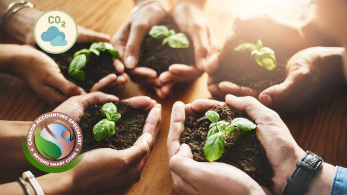 Rachel Warman, photo 2