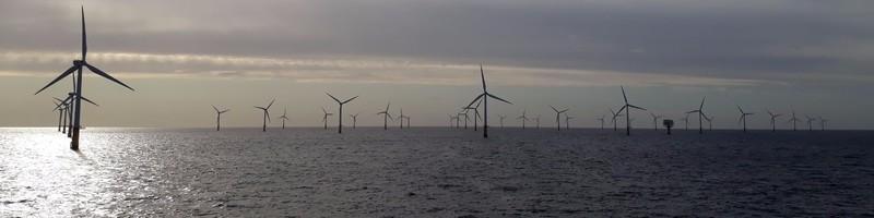 Remco Berghout, photo 1