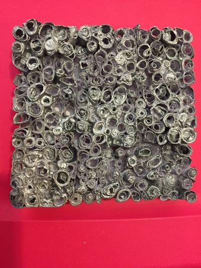 Caroline L. Quisenberry, photo 2