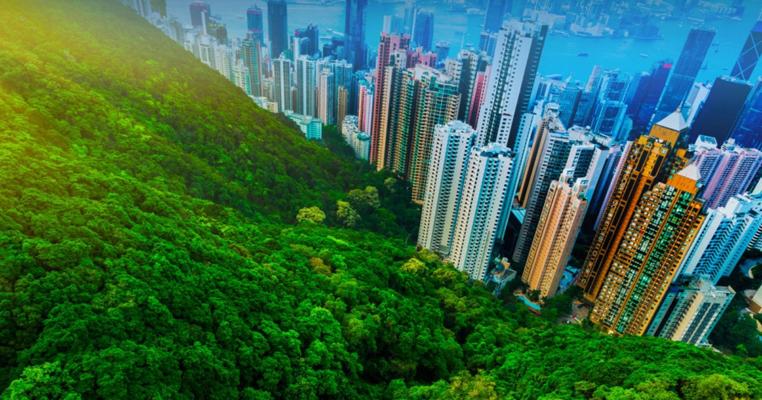 Thibault Guenat, photo 1