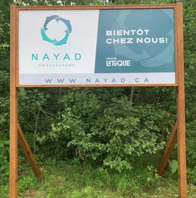 Patrick Djandji, photo 1