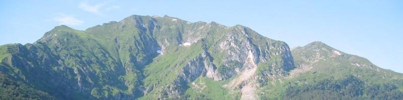 Mark Iamonaco, photo 2