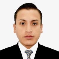 Mario Berrocal, photo 2