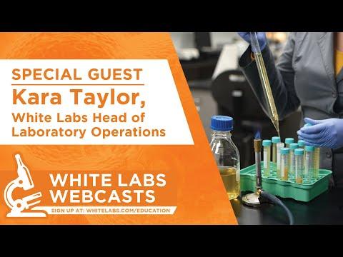 Kara Taylor, photo 2