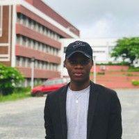 Tosin Ogunfowote., photo 2