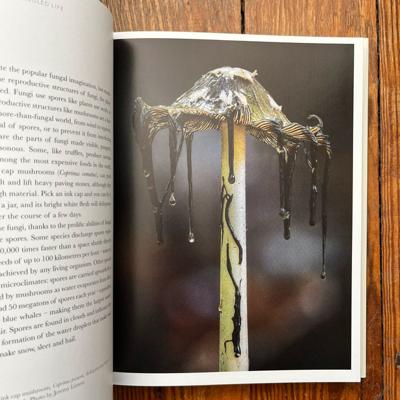 Andrew Edlin, photo 1